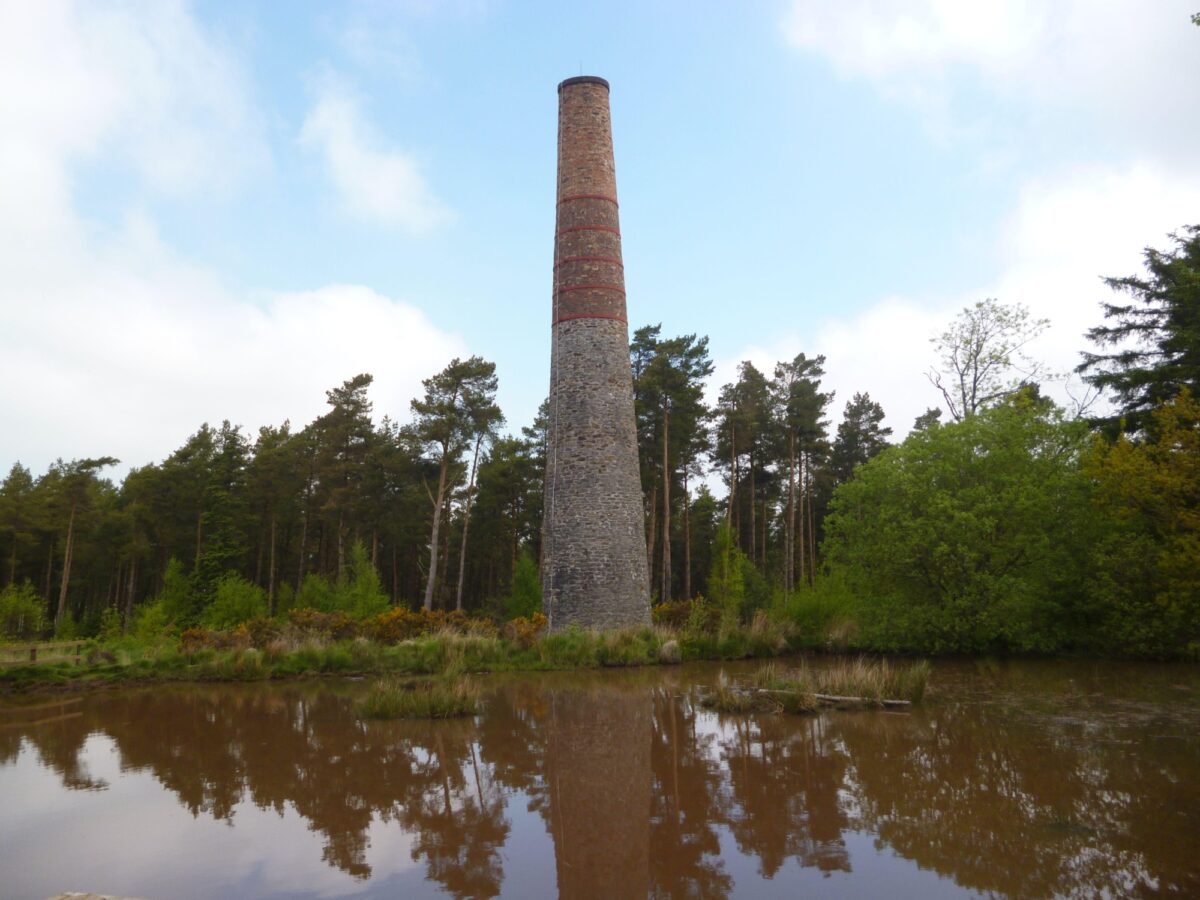 East Harptree Forest large photo 1