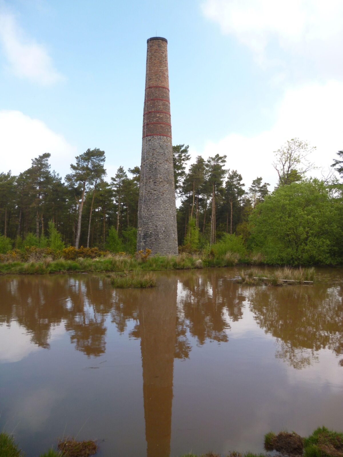 East Harptree Forest large photo 3