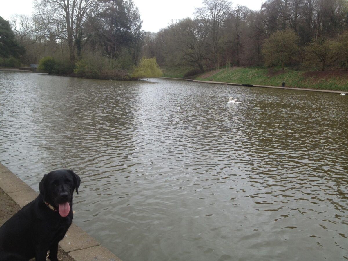 Eastville Park large photo 3