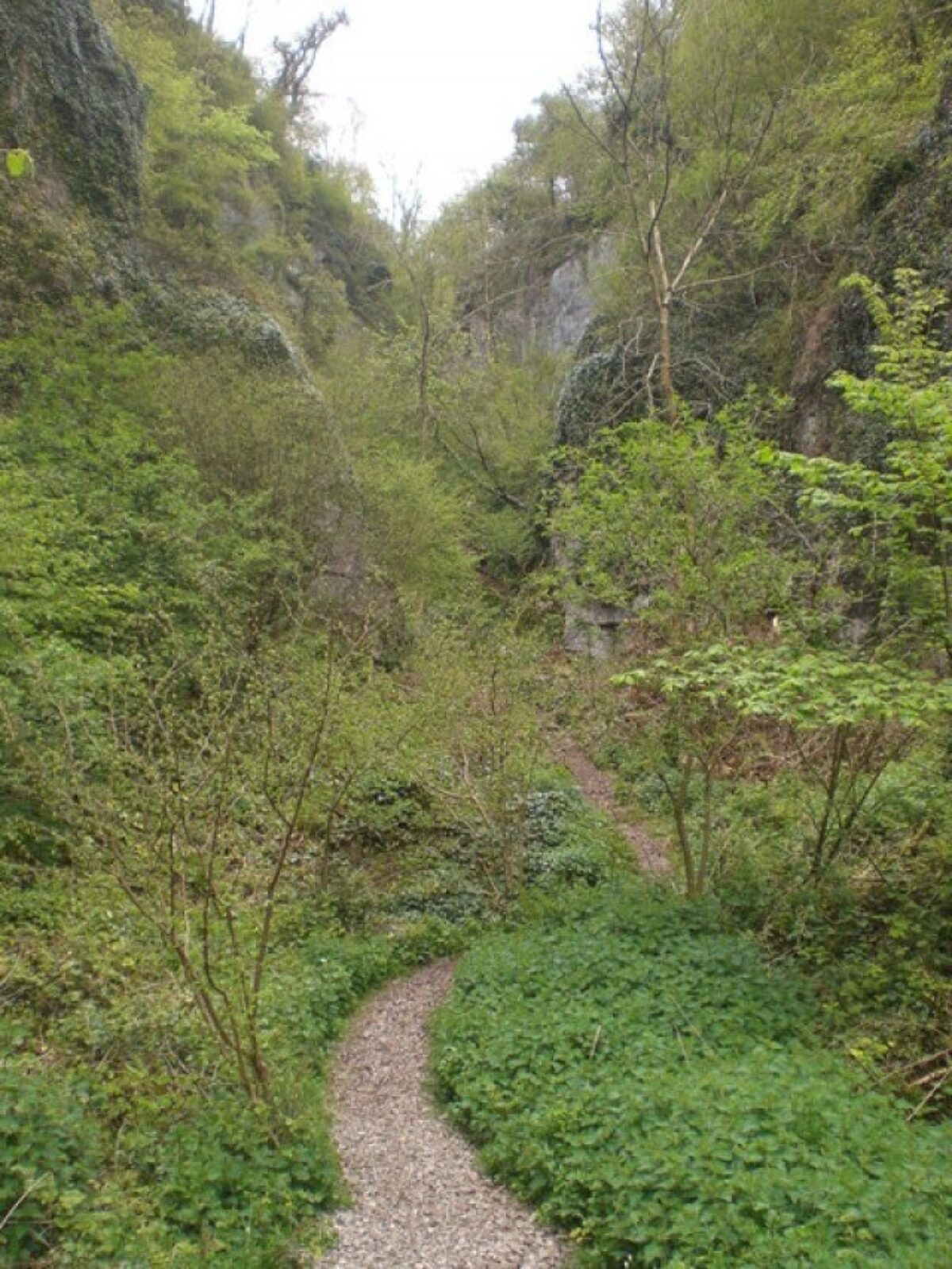 Ebbor Gorge (Red Trail) large photo 1