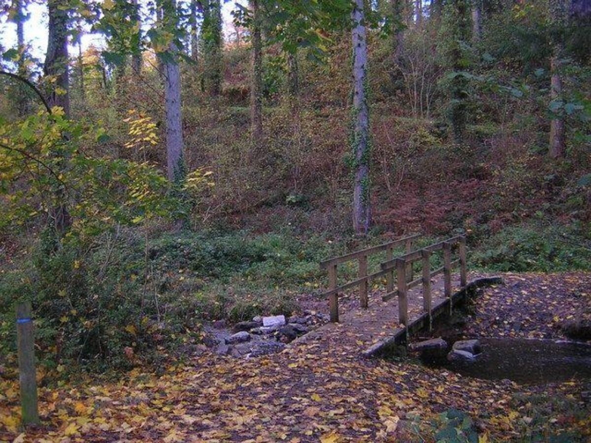 Eggesford Forest large photo 1