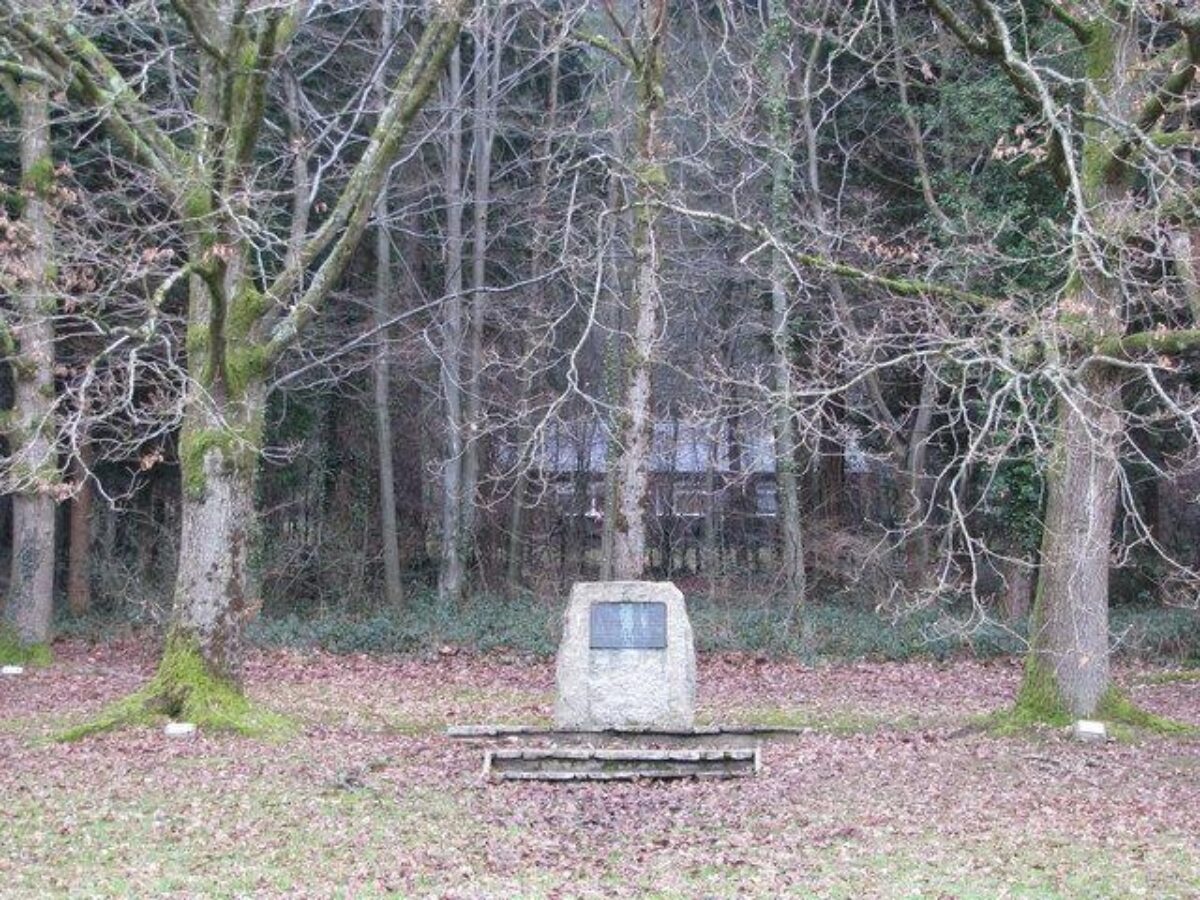 Eggesford Forest large photo 2