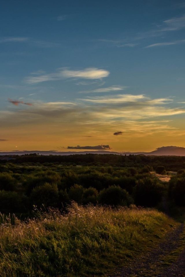 Dog walk at Eglinton Country Park · Ayrshire · Walkiees