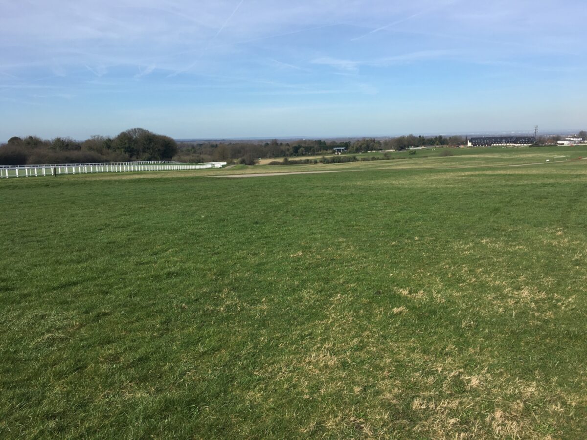 Epsom Downs large photo 4