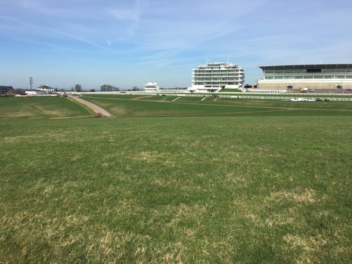 Epsom Downs large photo 5