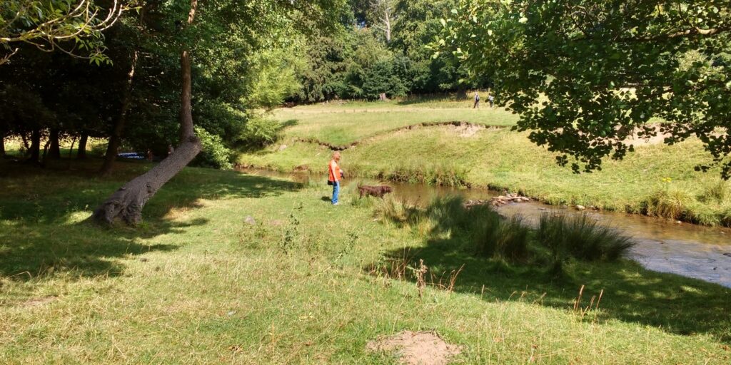 Dog walk at Erddig Hall · Clwyd · Walkiees