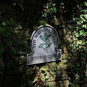 Ethy Woods, Lostwithiel