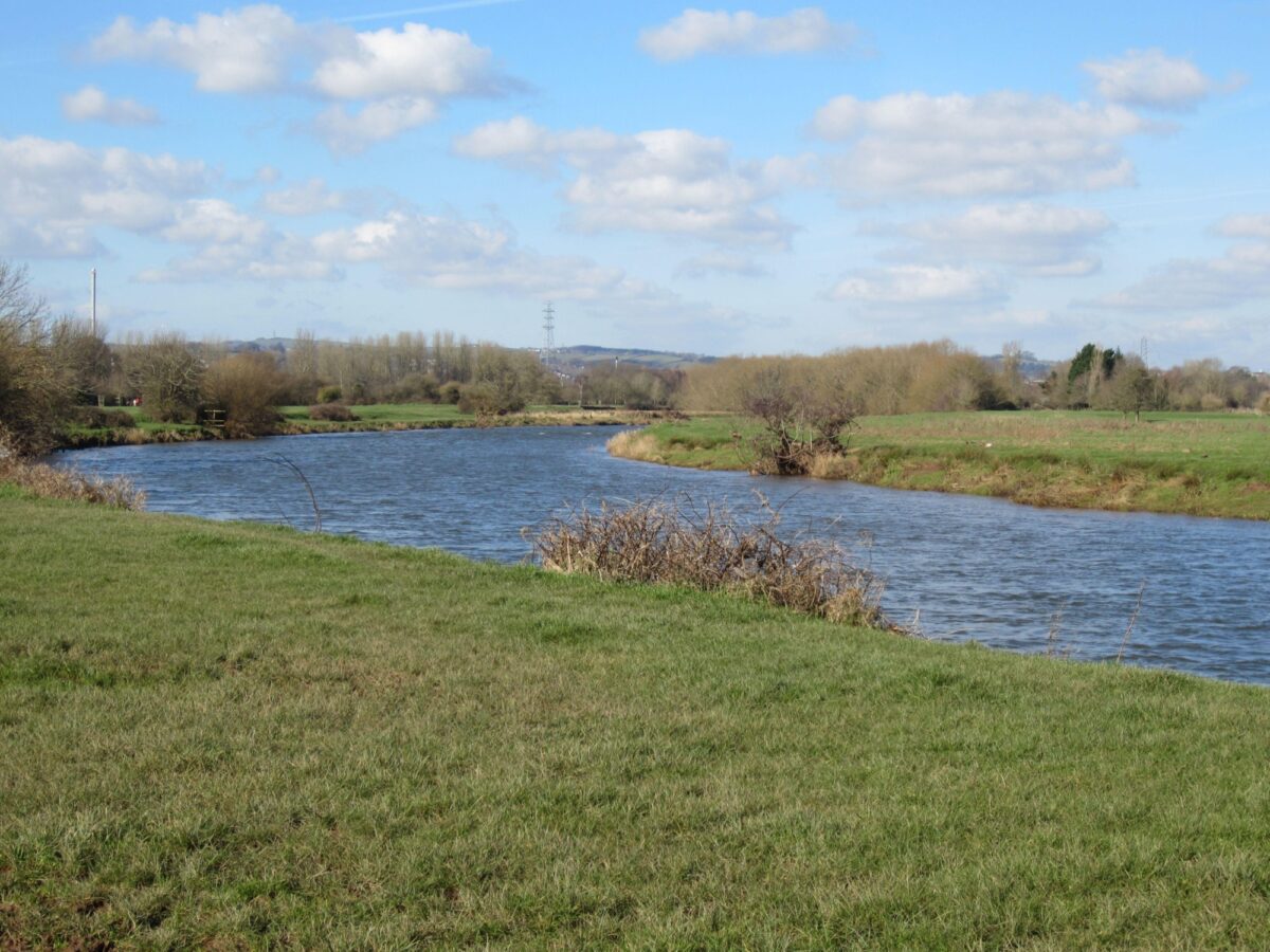 Exeter Canal large photo 6