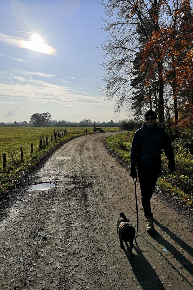 Dog walk at Exton Estate · Rutland · Walkiees