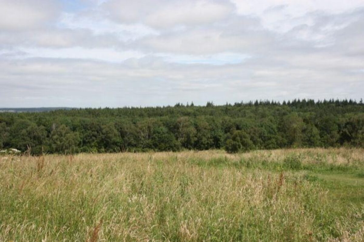 Farley Mount Country Park large photo 2