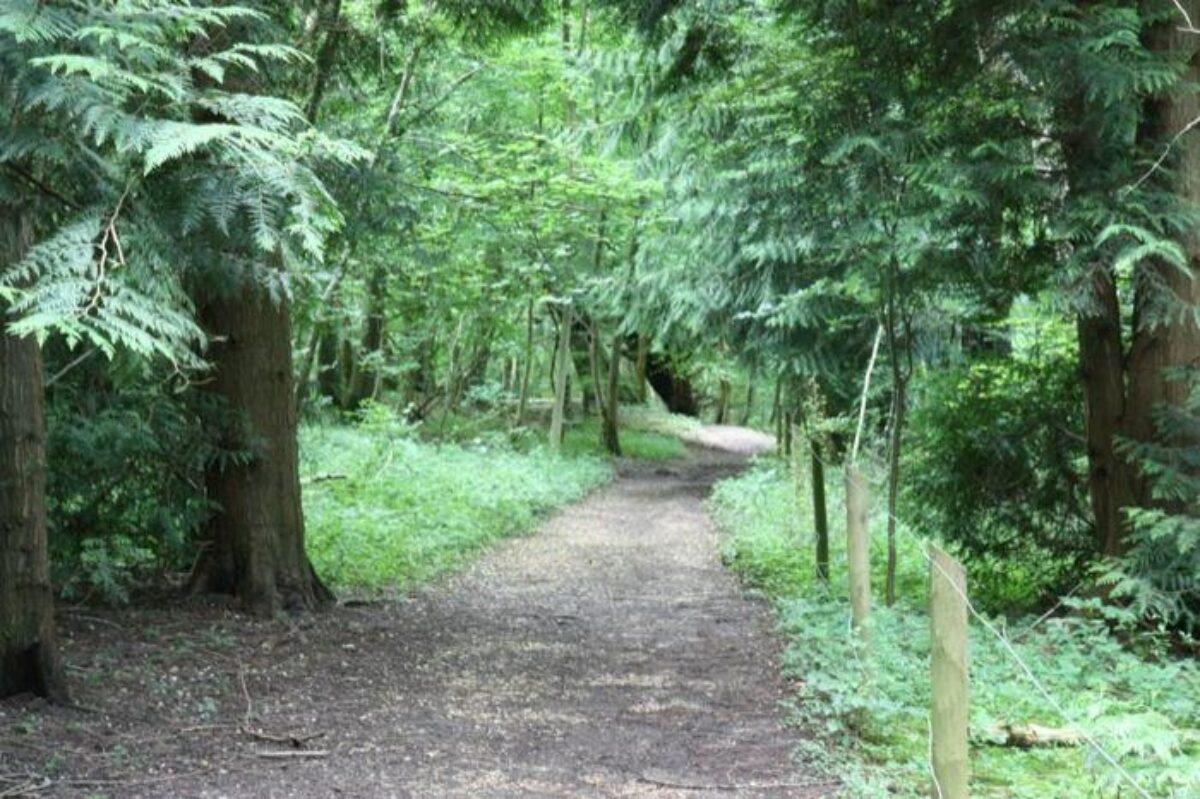 Farley Mount Country Park large photo 9