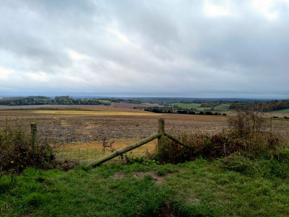 Farley Mount Loop, near Winchester large photo 3