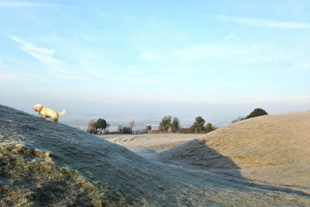 Figsbury Ring large photo 12