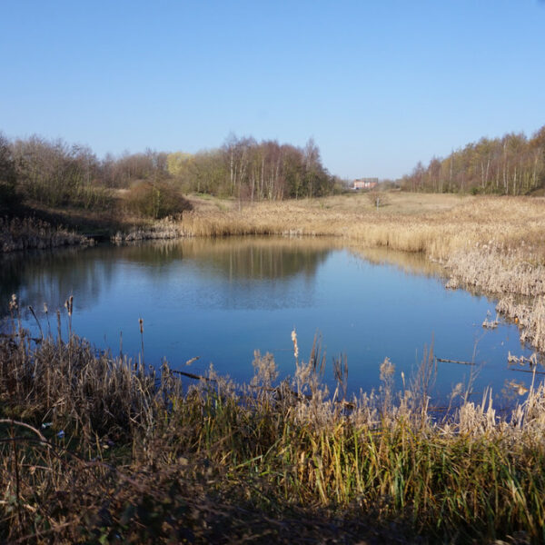 Fitzwilliam Country Park photo 2