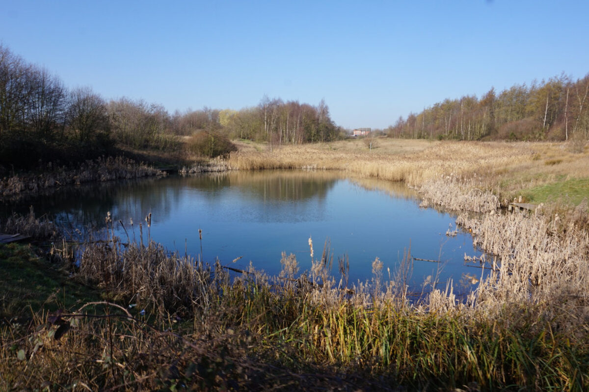 Fitzwilliam Country Park large photo 2