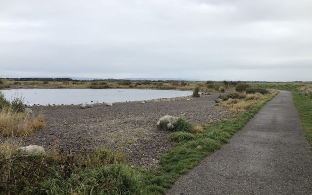 Fleetwood Nature Reserve Walk Dog walk in Lancashire
