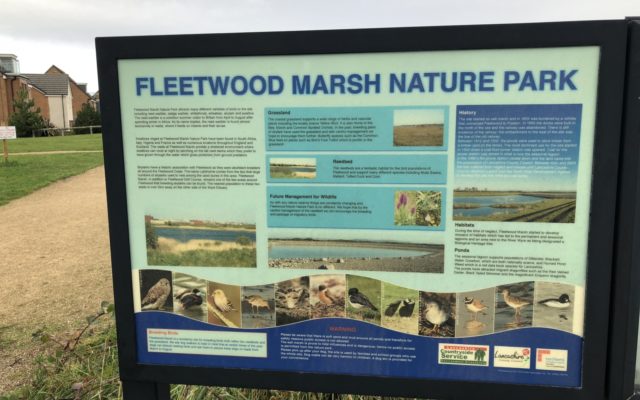 Fleetwood Nature Reserve Walk Dog walk in Lancashire