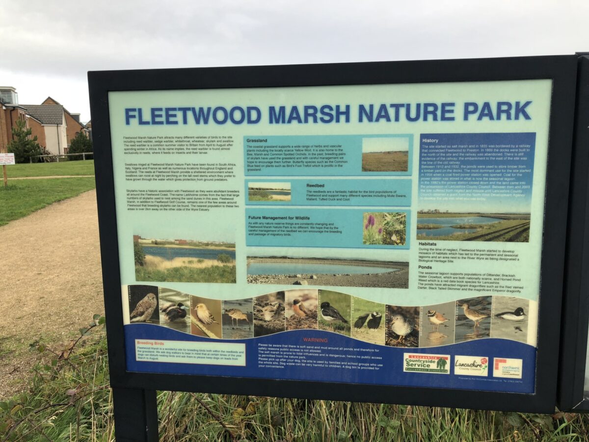 Fleetwood Nature Reserve Walk large photo 3