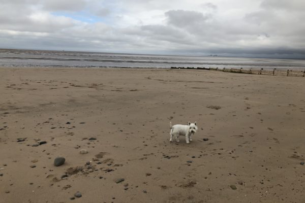 Fleetwood Walkphoto