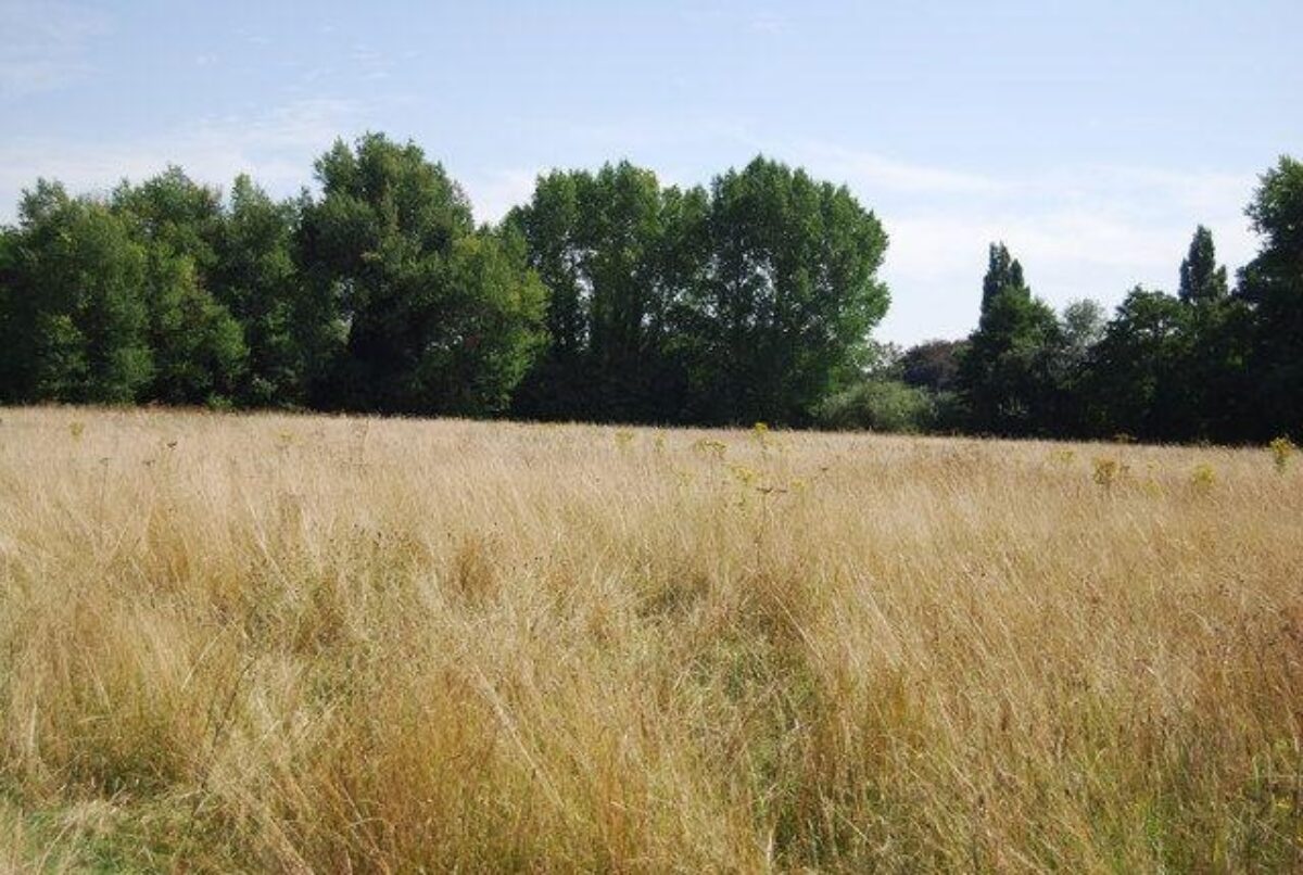 Foots Cray Meadows large photo 2