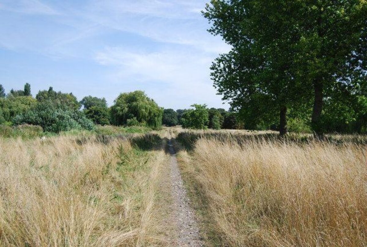 Foots Cray Meadows large photo 4