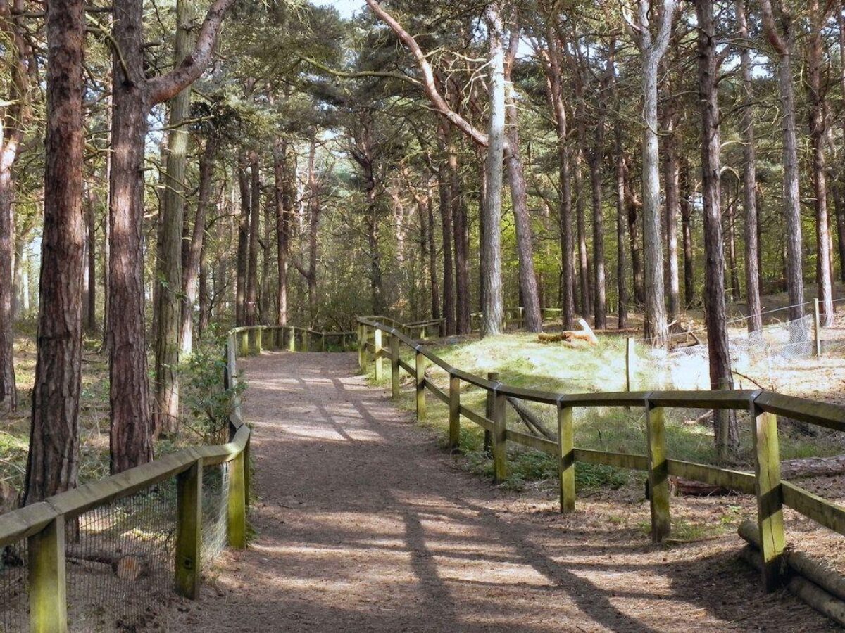 Formby Squirrel Reserve (leading To The Beach) large photo 4