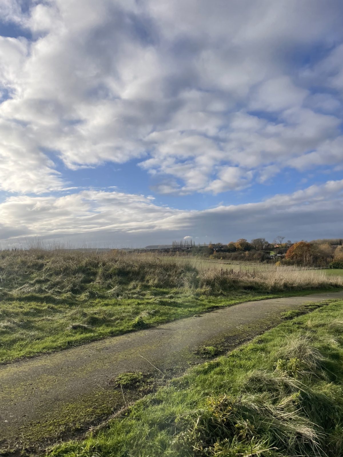 Frickley Country Park large photo 1