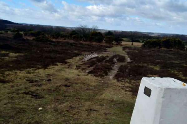 Frogham Pub Walk, New Forestphoto