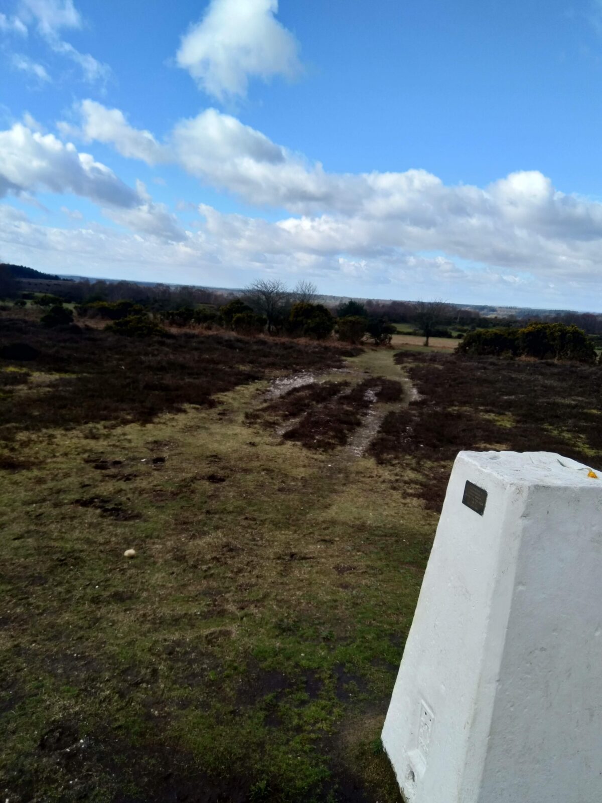 Frogham Pub Walk, New Forest large photo 1