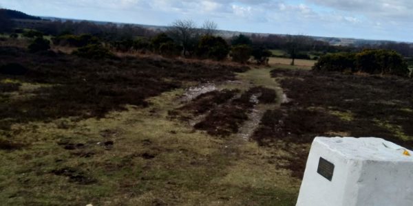 Frogham Pub Walk, New Forest