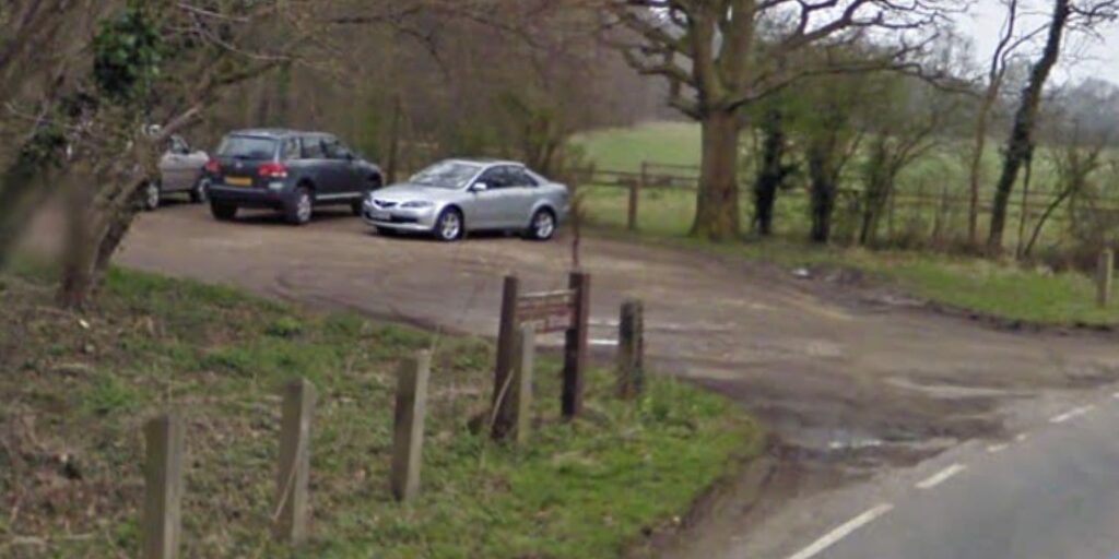 Dog walk at Wood · Essex · Walkiees