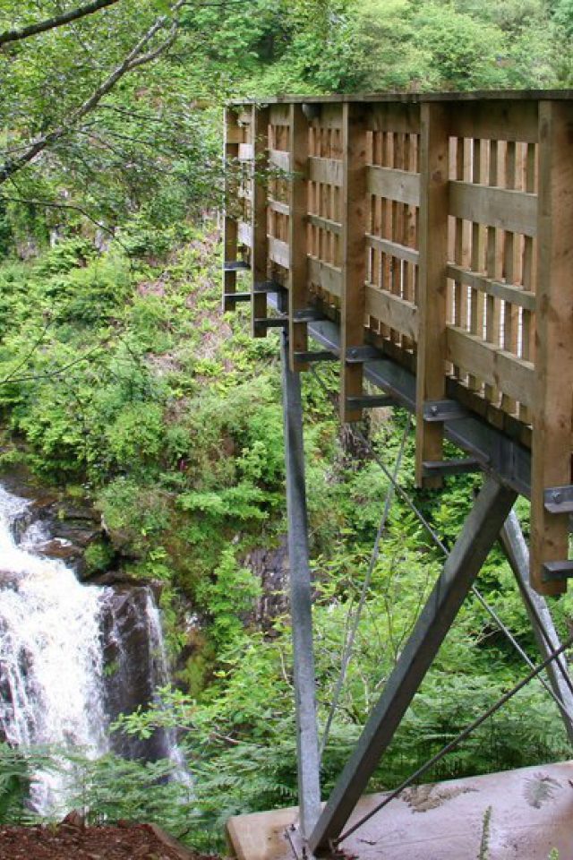 Dog walk at Glenashdale Falls · Ayrshire · Walkiees