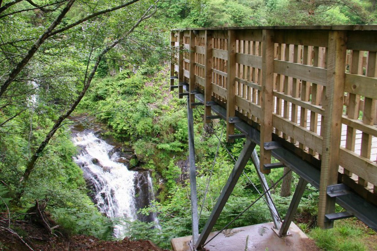 Dog walk at Glenashdale Falls · Ayrshire · Walkiees
