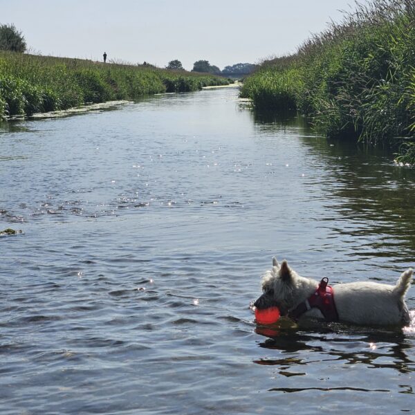 Glinton Bank photo 3