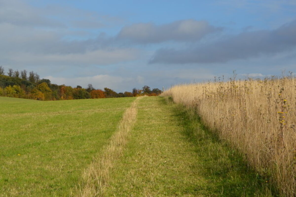 Gog Magog Hills large photo 1