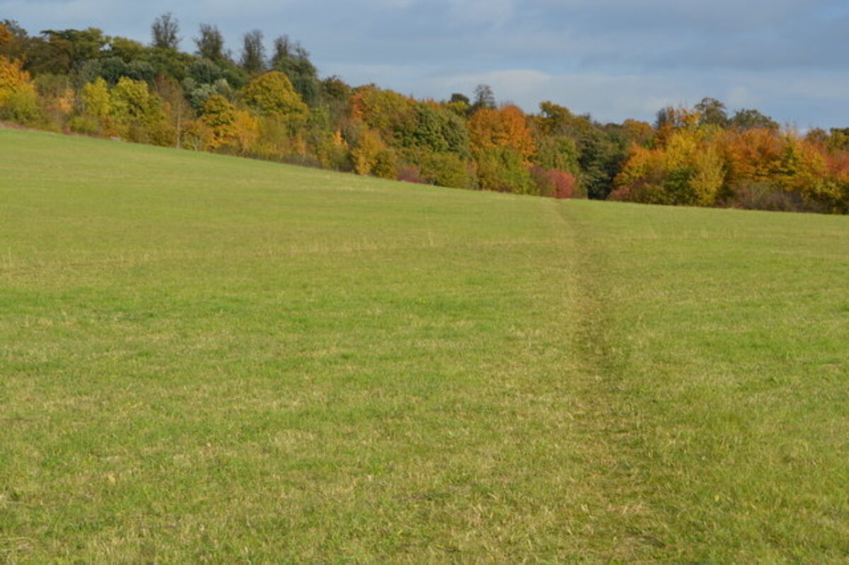 Gog Magog Hills large photo 2