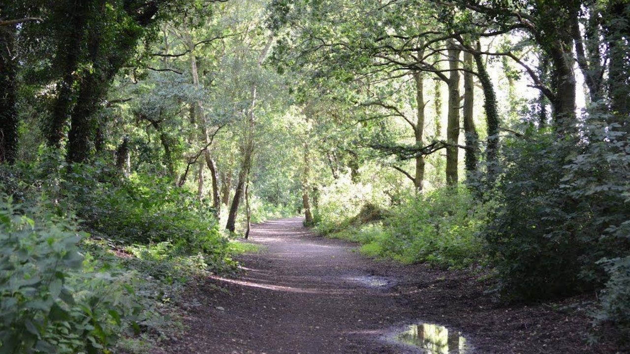 Dog walks in Shropshire · Walkiees