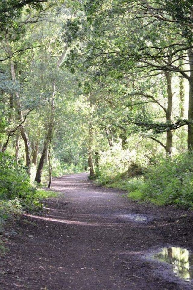 Dog walk at Granville Country Park · Shropshire · Walkiees
