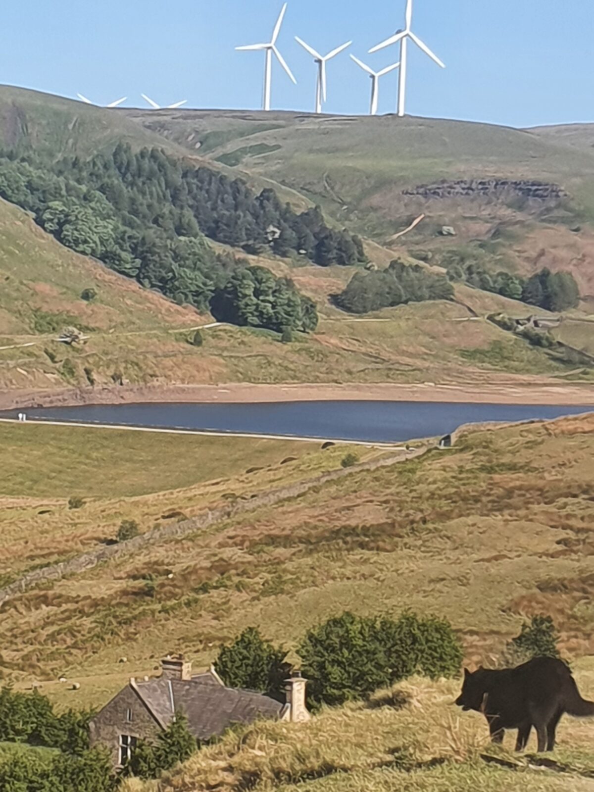 Greenbooth Reservoir Circular Walk large photo 1