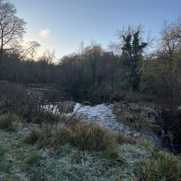 Greenhall Park photo 1