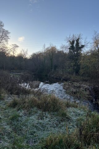 Dog walk at Greenhall Park photo