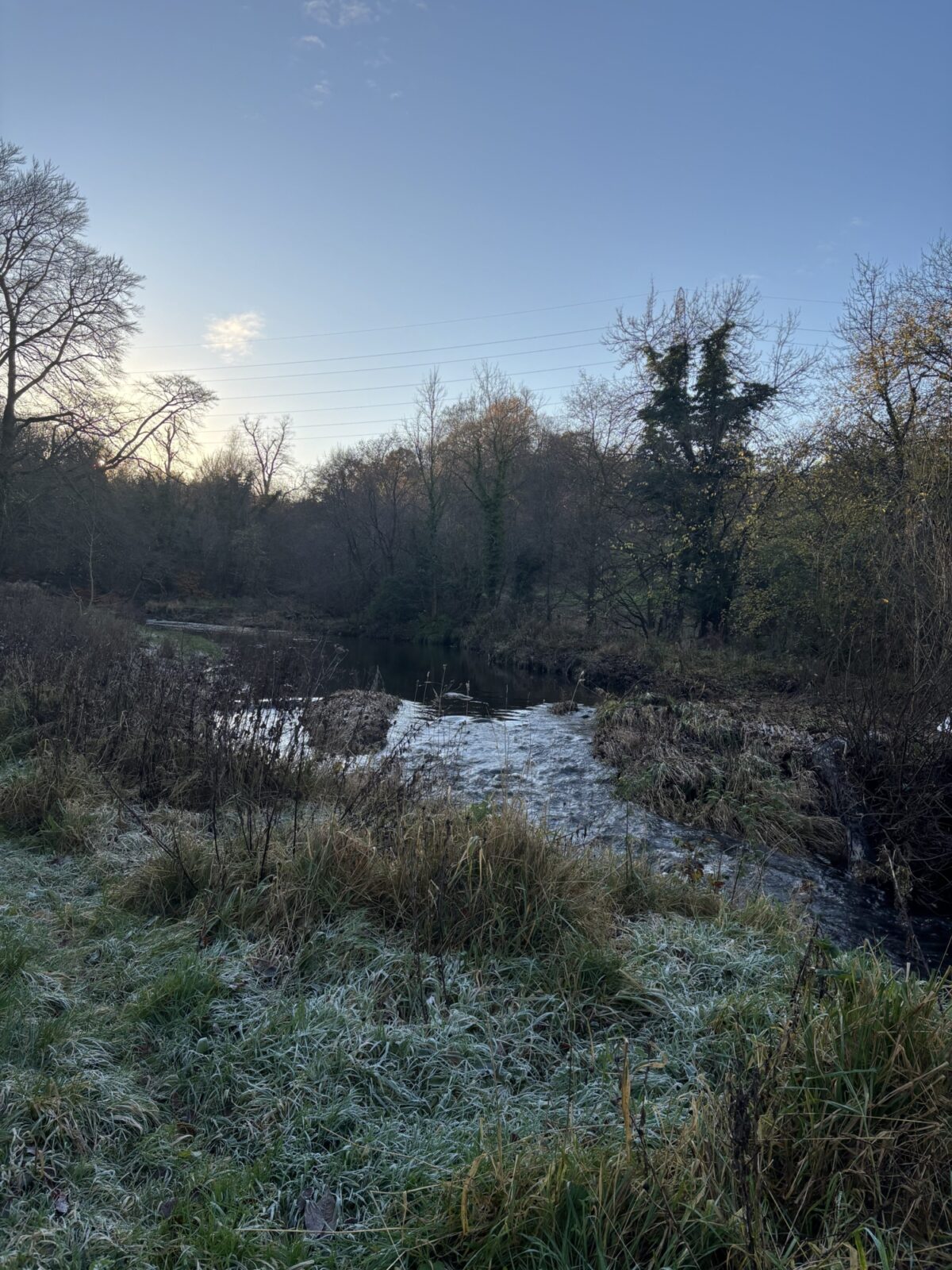 Greenhall Park large photo 1