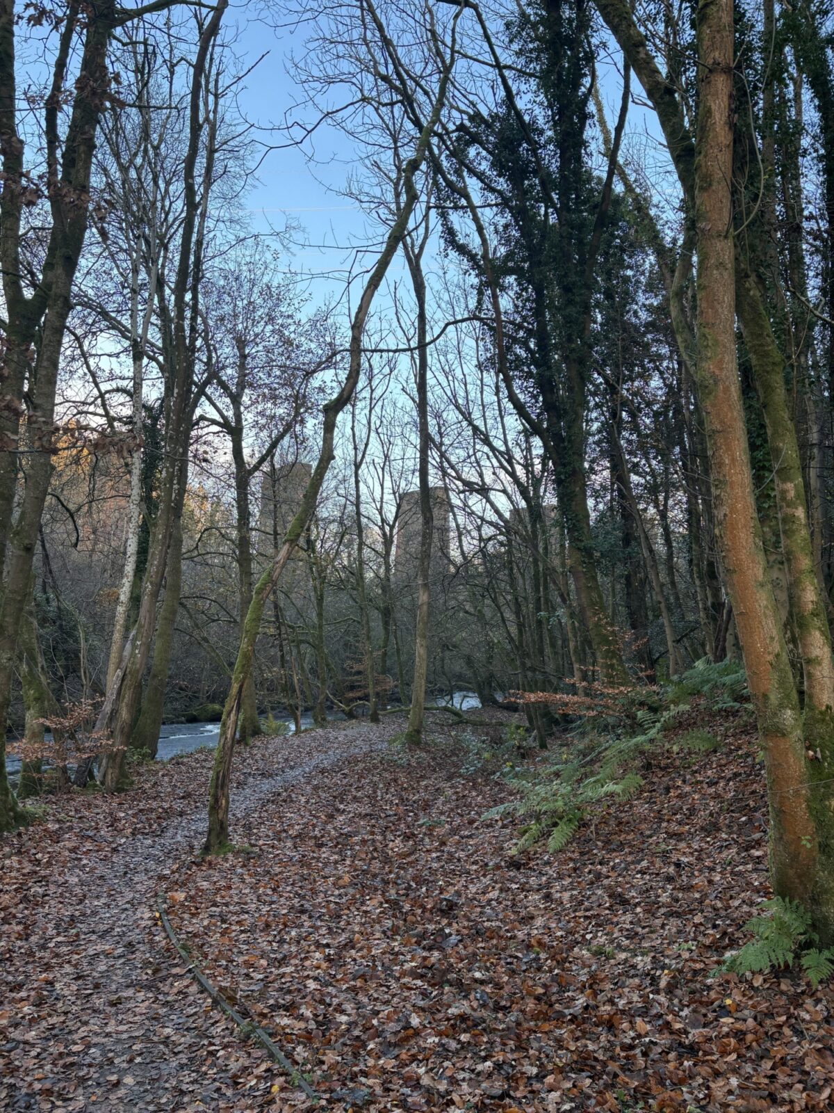 Greenhall Park large photo 2