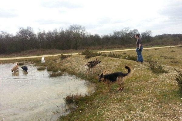 Greenham Commonphoto