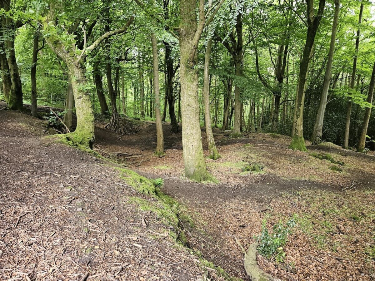 Greyfield Wood large photo 2