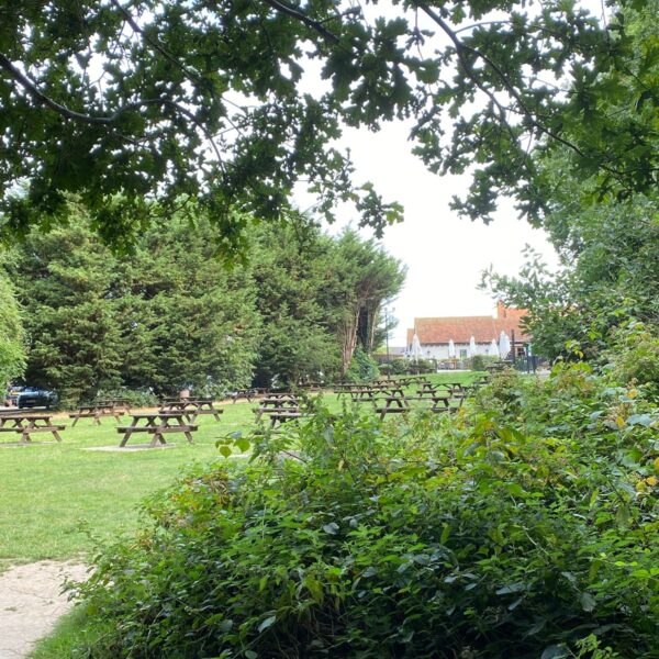 Grove Woods to Hockley Woods photo 4
