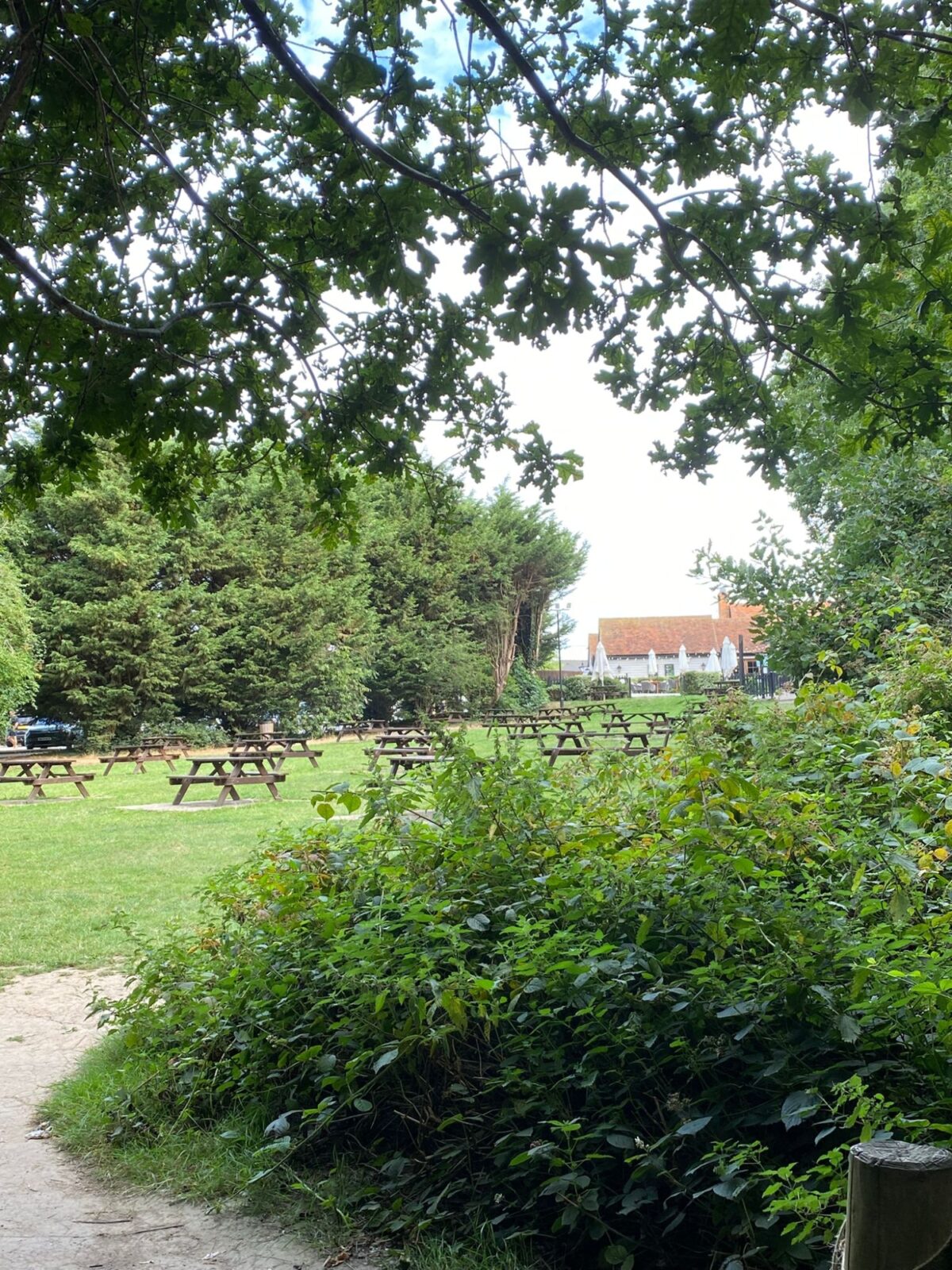 Grove Woods to Hockley Woods large photo 4 Grove Woods to Hockley Woods large photo 4