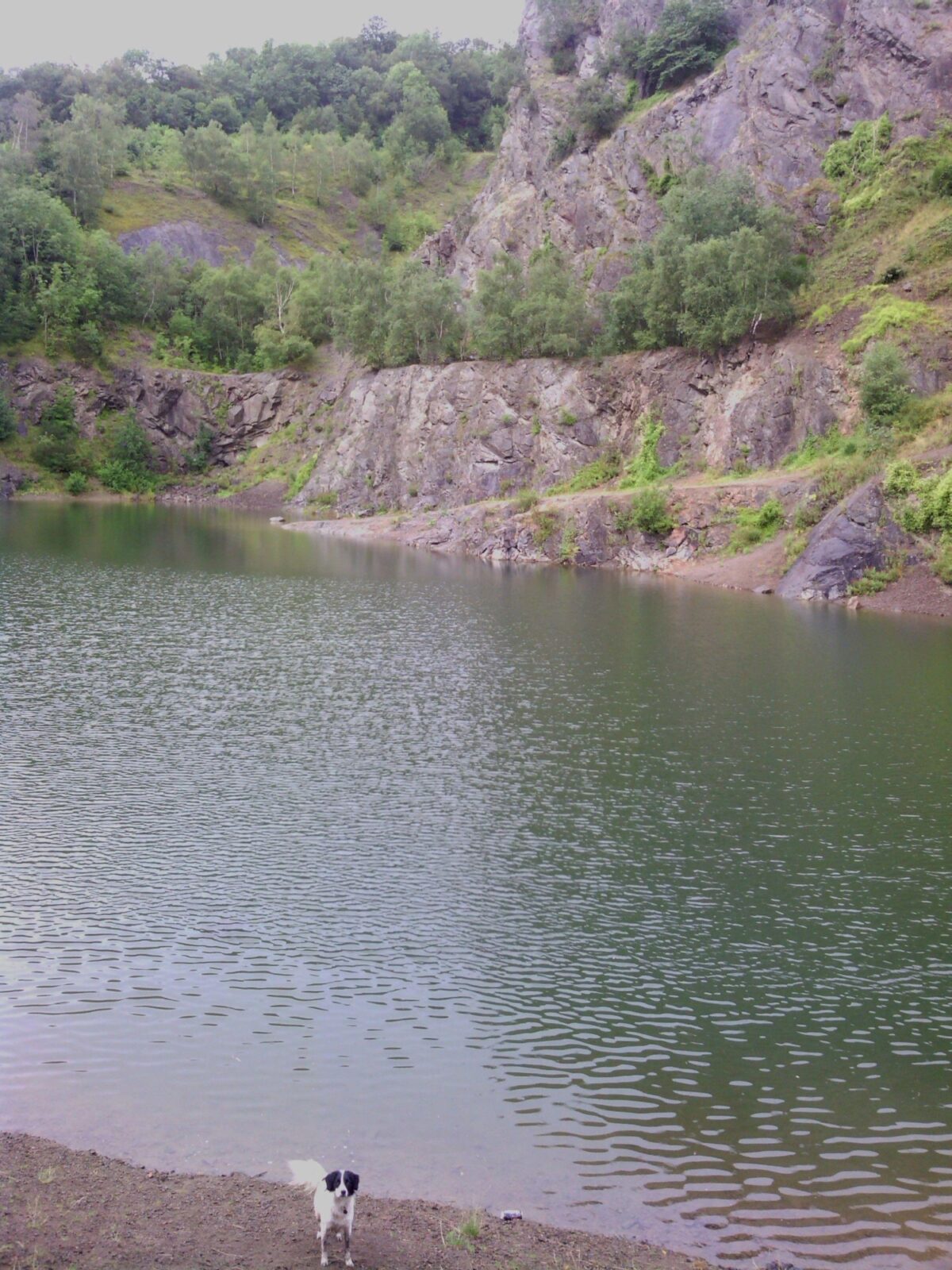 Gullet Quarry, Malvern large photo 1