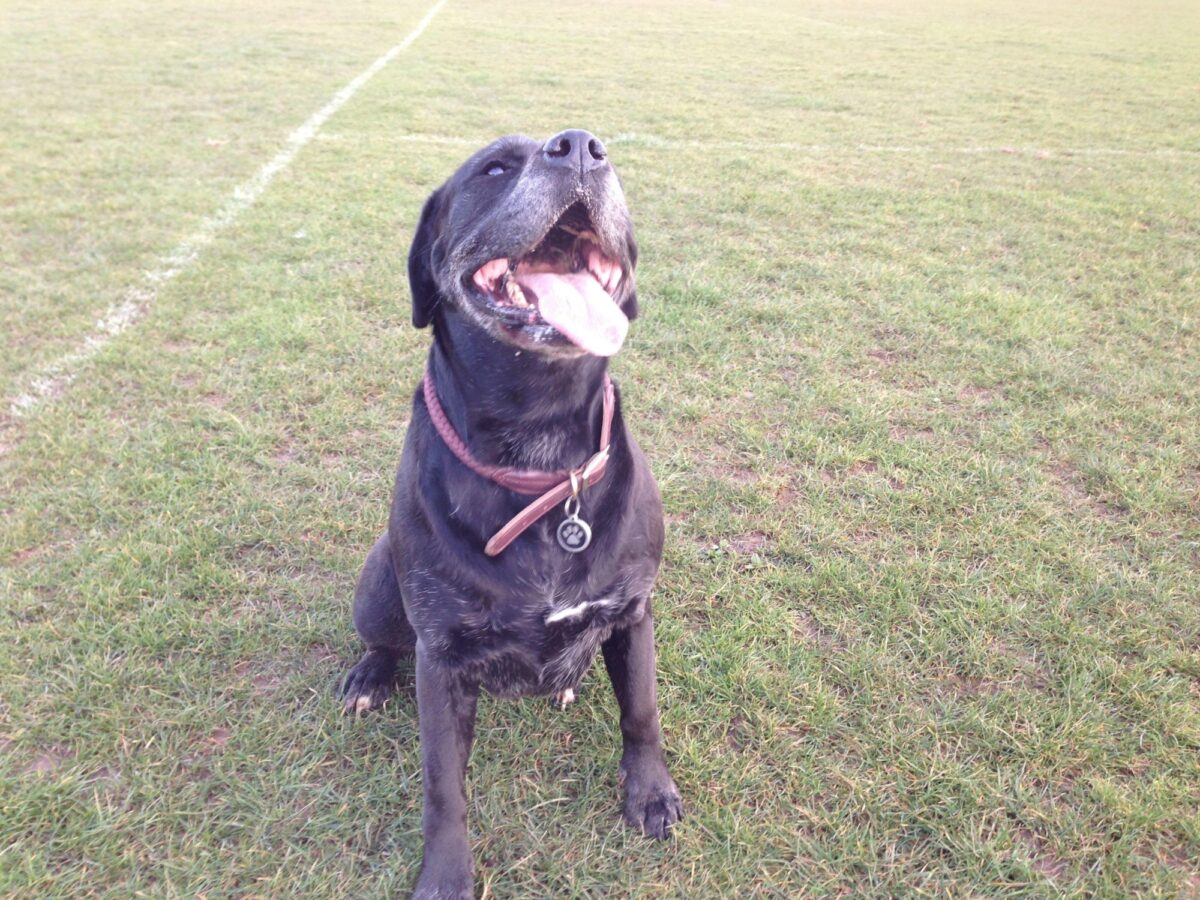 Hamble Recreation Ground large photo 1