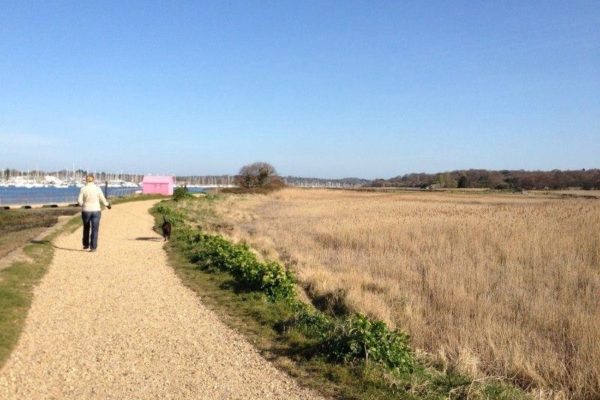 Hamble River (Warsash Side)photo